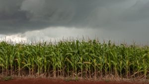 Frente fria volta a trazer chuva ao Paraná