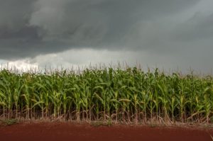 Vídeo: Possibilidades de chuva nesta semana