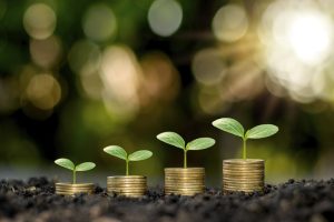 Projeto cria fundo nacional para agropecuária