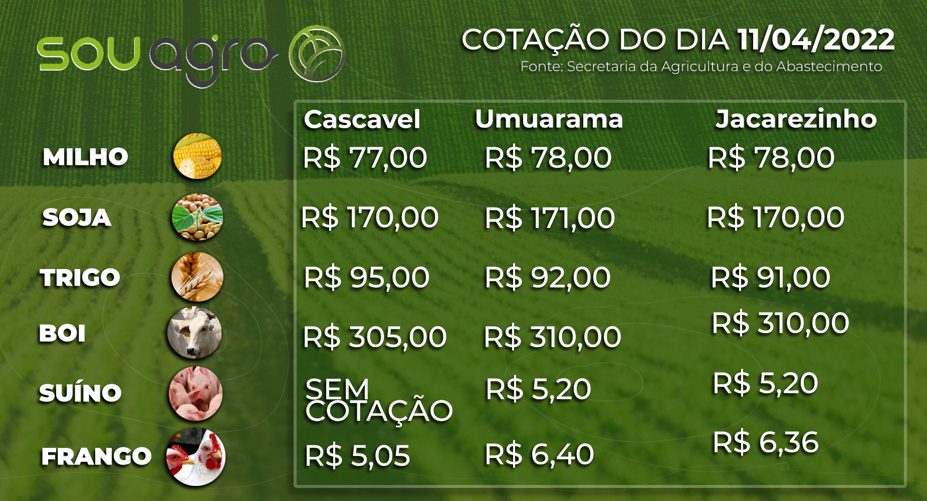 cotações