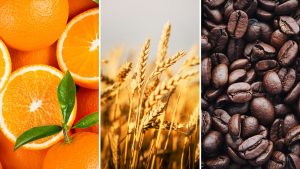 Preços mínimos para laranja, trigo e café são reajustados