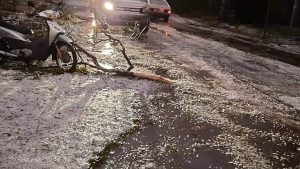 Após destruição do granizo, força tarefa é montada para ajudar Maripá