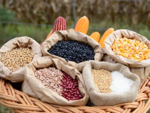 Brasil é importante no combate da crise alimentar mundial