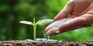 Setor de fertilizantes especiais cresce no Brasil