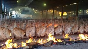 Churrasco é agro: retomada da festa do trabalhador terá mais de 500 costelões