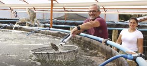 Produtor aposta no cultivo de peixes em tanques suspensos