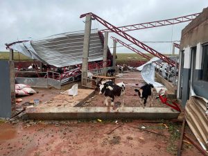 Após propriedade ser destruída, grupo se une para ajudar produtores