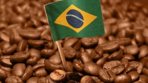 Genes resistente à Ferrugem do Cafeeiro são alvos de pesquisa