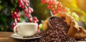 Dos cafezais para as xícaras do mundo, hoje é dia do café