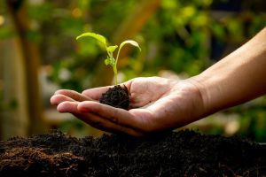 Novos desafios na proteção de plantas no AgropecSul