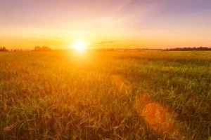 Dia deve ser de sol e altas temperaturas