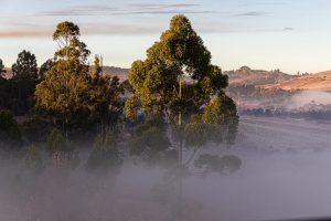Onda de frio: saiba as verdades e mentiras que estão contando