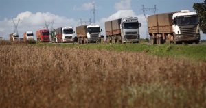 Nova ligação entre portos do Paraná e Chile pode reduzir preço do frete em 30%