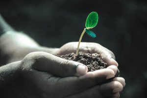 Projeto de manejo e conservação do solo no Paraná