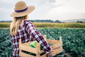 Mulheres do campo podem participar de cursos gratuitos