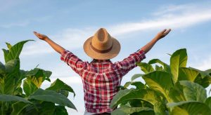 Mulheres ganham destaque na agricultura familiar brasileira