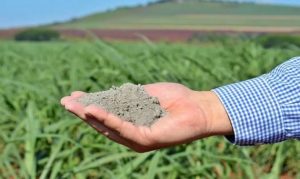 Pó de rocha é alternativa para diminuir uso de fertilizantes
