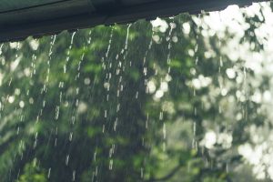 Feriado pode ser com chuva