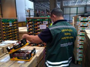 Auditores agropecuários vão retomar operação padrão