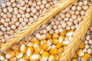 VÍDEO: entenda os motivos da pressão nos preços das commodities