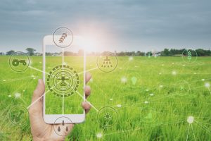 Vale do Silício paranaense tem reforço de startup agro