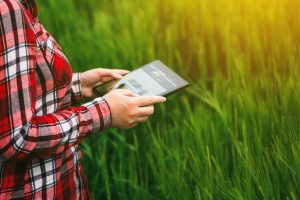 Agronegócio paranaense terá plataforma de compras online
