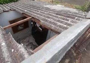 Vaca cai de telhado em uma casa de Londrina