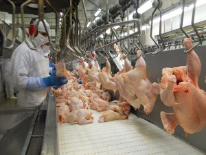Abril se mostra promissor para exportações de frango