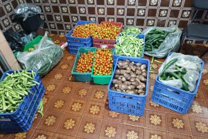 Aumento no consumo de orgânicos impulsiona a produção