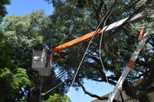 Ainda há paranaenses sem energia elétrica por conta da tempestade