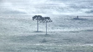 Frio não deve ir embora tão cedo