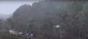 Inmet emite alerta laranja de neve para mais de 30 cidades do Paraná