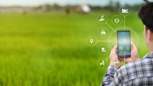 Conheça a plataforma que auxilia o agricultor a levar sua produção para o mundo