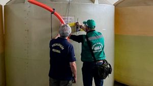 Mapa combate fraudes na produção de vinagre e cachaça