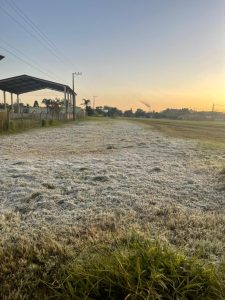 Amanhecer é marcado pela geada em várias cidades