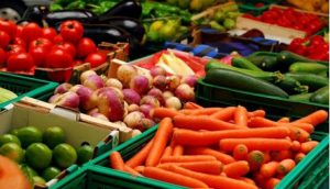 Conab promove leilões para contratação de serviço de frete de alimentos