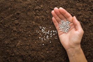 Ministro da Agricultura viaja ao exterior negociar fertilizantes