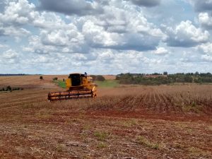 Parte dos produtores atingidos pela seca ainda aguarda por indenização