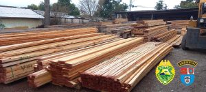 Venda ilegal de madeira termina com multa de R$ 1 milhão