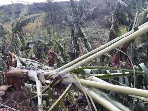 Depois de muitos estragos, ciclone começa a se afastar