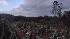 Ciclone já causou estragos no Sul