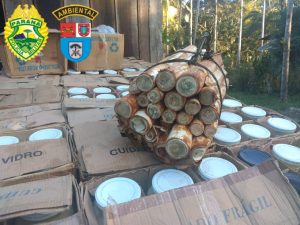 Com multa milionária, fábrica clandestina de palmito é fechada no PR