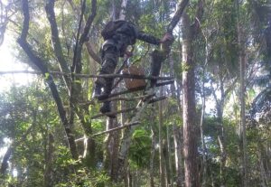 Após prisões por caça ilegal, policiais encontram acampamento dos caçadores