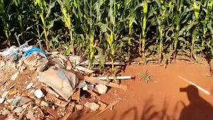 Estão jogando lixo nas lavouras e isso revolta agricultores