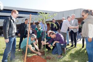 Primeiro plantio de Araucária do ‘Programa de Resgate da Paisagem Natural de Cascavel’