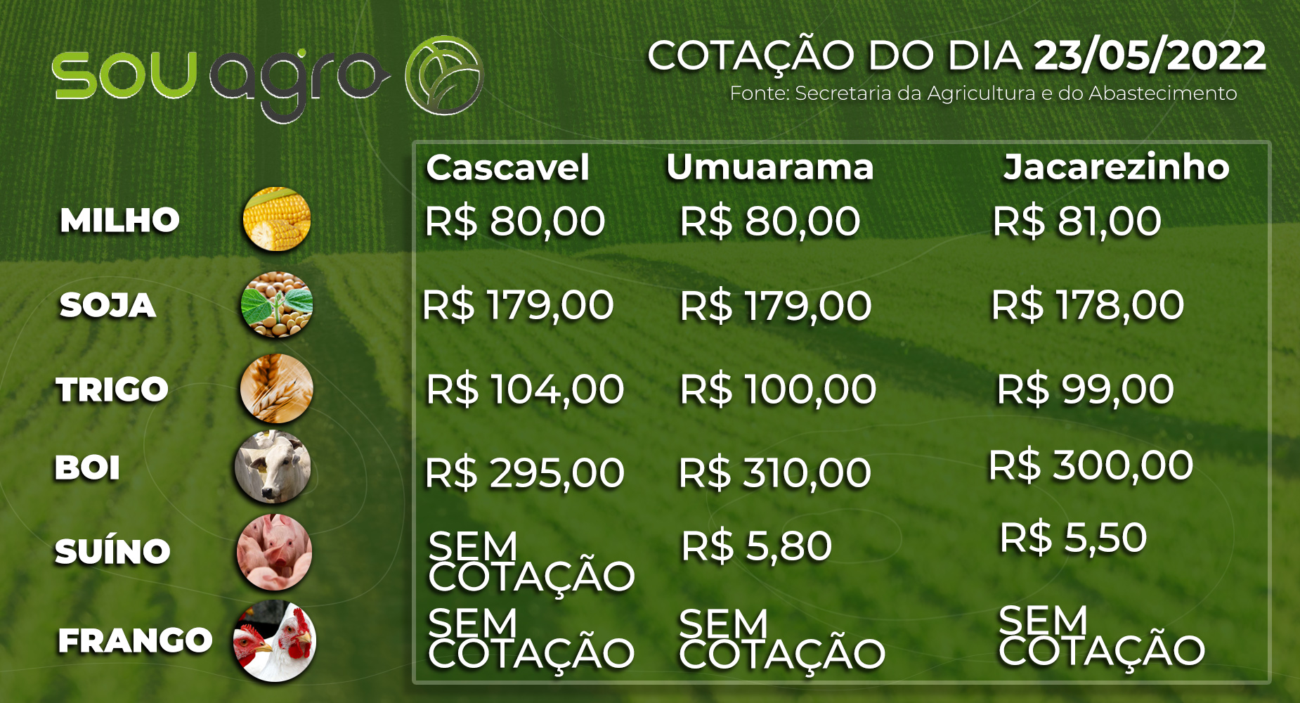 cotações