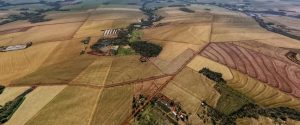 Imagem mostra caminho da destruição nas lavouras de Maripá