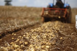 Mudanças climáticas afetam preços pagos aos produtores