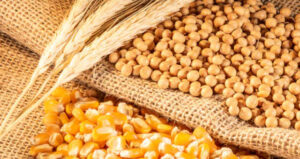 Mercado de commodities sob intensa montanha-russa