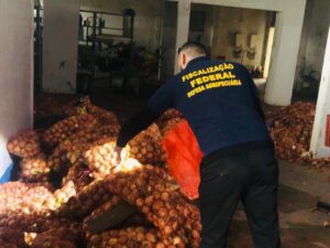 Milhares de produtos agropecuários ilegais são apreendidos em operação